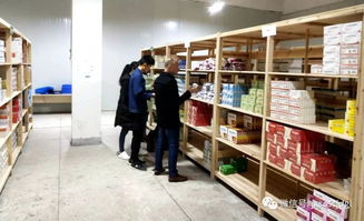 县市场监督管理局开展药品批发企业专项检查，筑牢药品安全防线