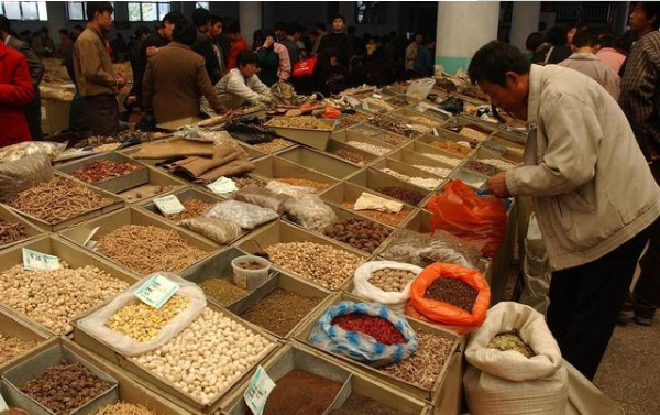 聚力安国中药材市场，深耕药品批发新机遇